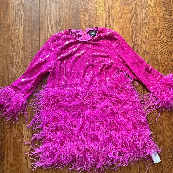 kate spade Dresses & Skirts - kate spade Hot Pink Sequin & Feather Mini Dress